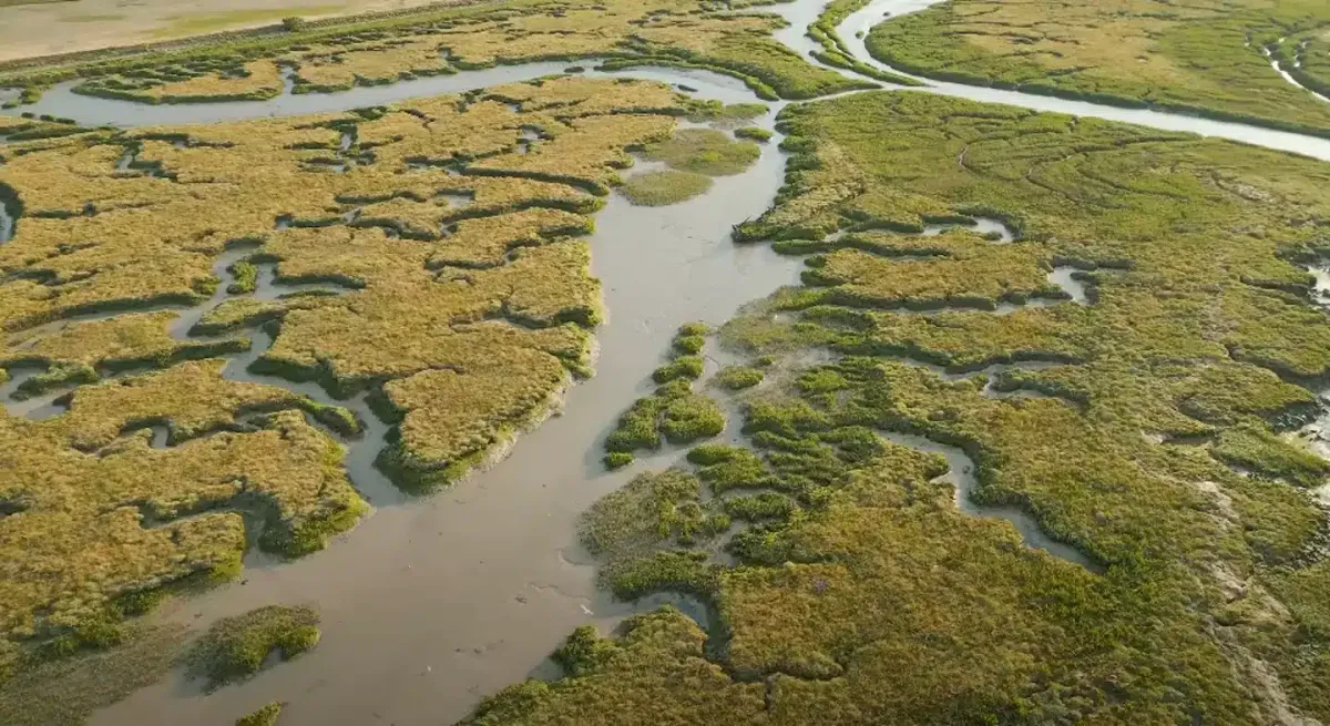 A ‘ilha mais infectada do mundo’ está cheia de crânios human