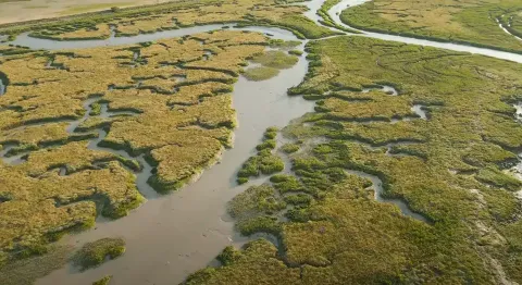 A ‘ilha mais infectada do mundo’ está cheia de crânios human