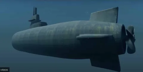 A terrível realidade do que acontece se você ouvir um sonar 