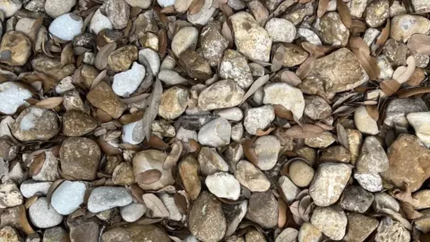 Anel de noivado perdido na praia vira desafio viral
