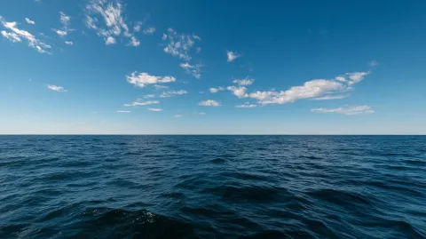 Após 100 anos de busca, uma lula colossal viva foi filmada p