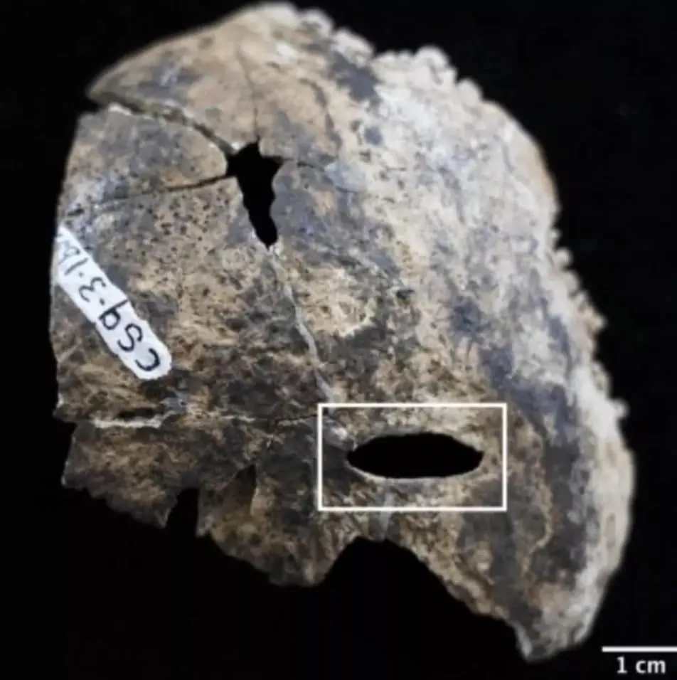 Arqueólogos fazem descoberta perturbadora dentro da ‘Caverna