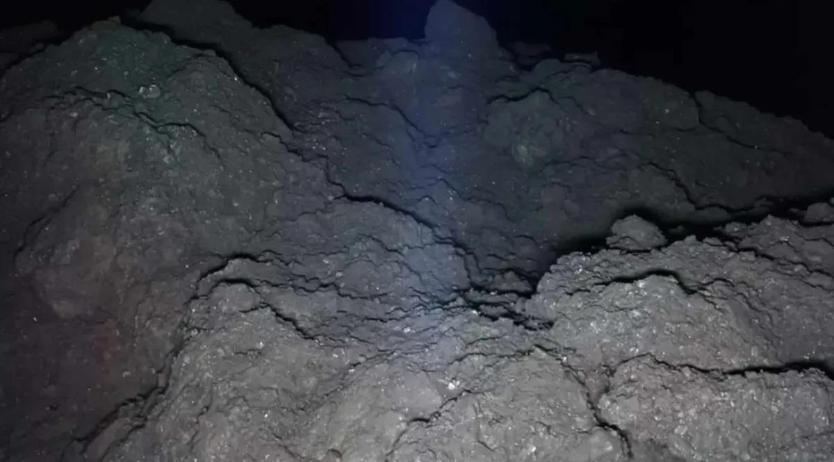 As pessoas estão assustadas pela mesma razão após ver foto i