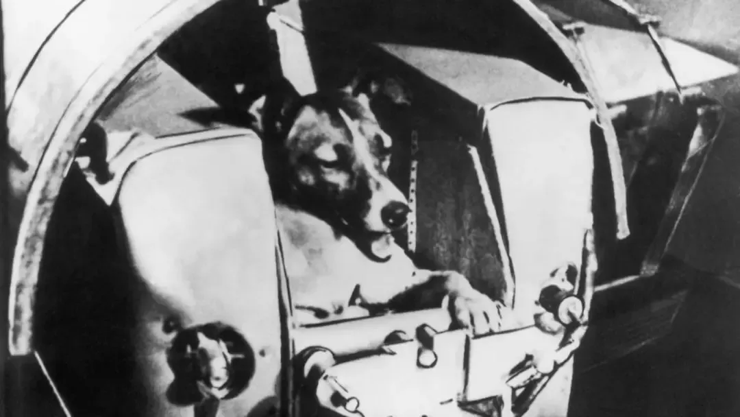 As pessoas só agora estão descobrindo o que realmente aconte