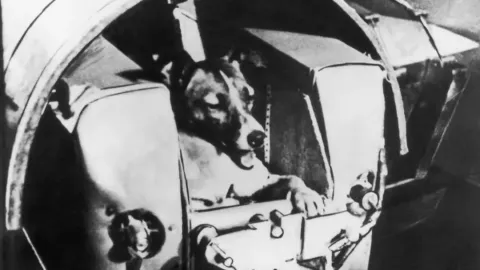 As pessoas só agora estão descobrindo o que realmente aconte