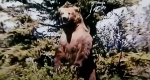 As últimas palavras angustiantes de homem antes de ele e sua