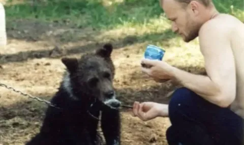 Caçador russo morto por urso que criava desde filhote