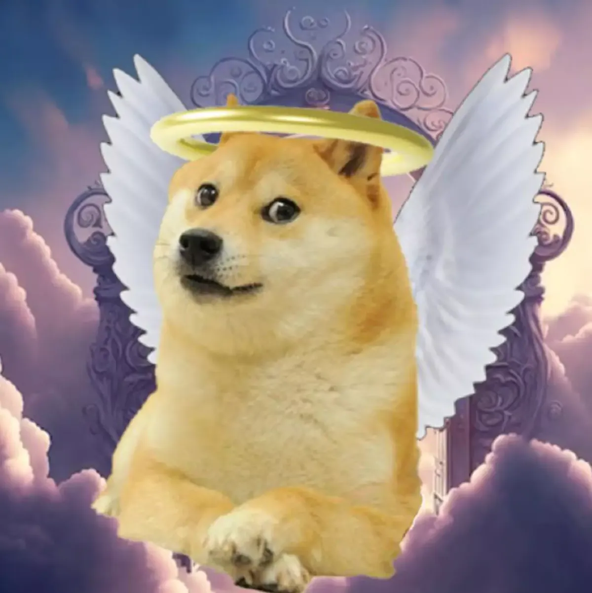 Cachorrinha Kabosu, do meme viral, morreu