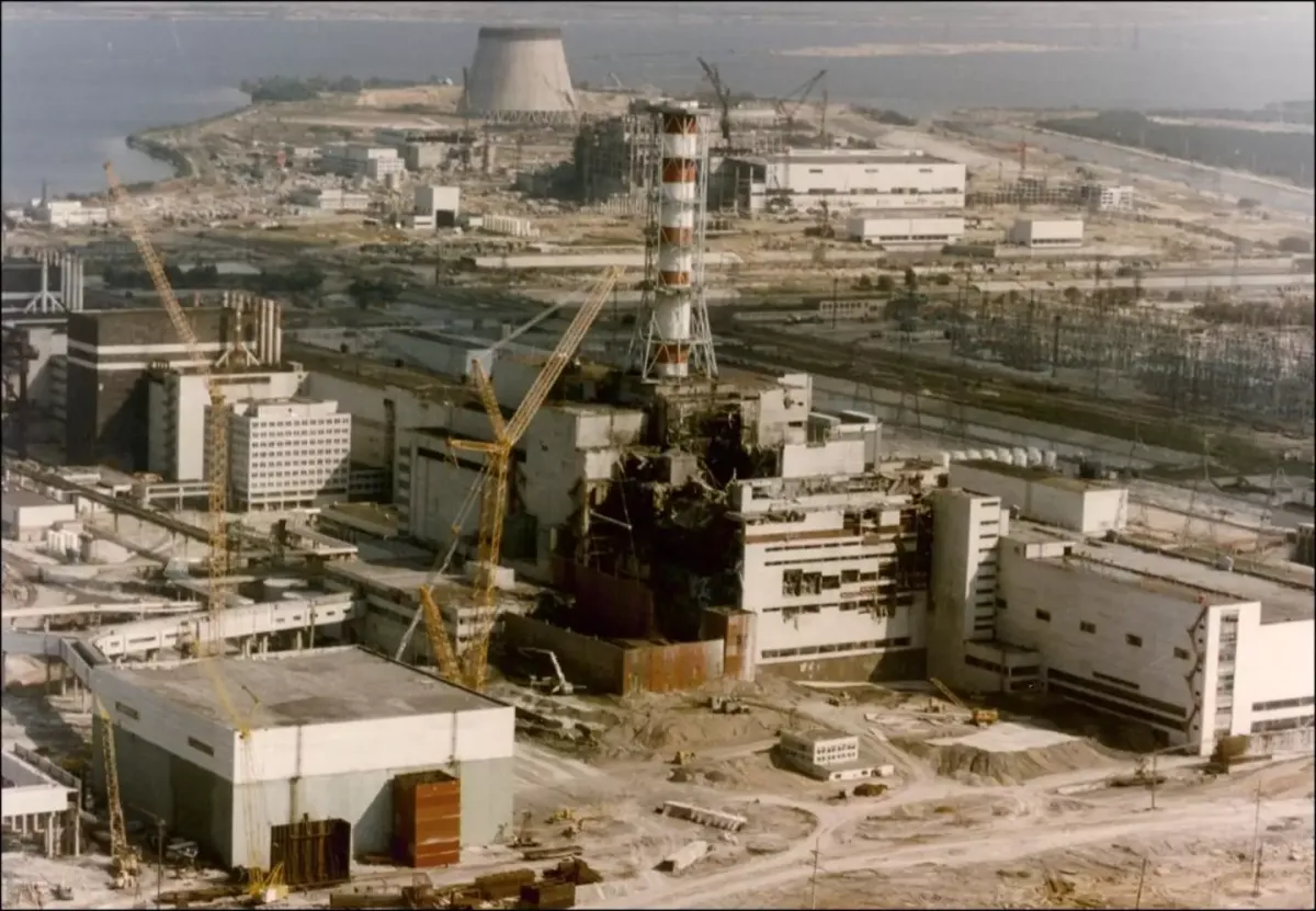 Cães que vivem perto da zona do desastre nuclear de Chernoby
