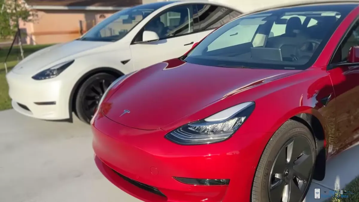 Casal que comprou um Tesla cada um e dirigia cerca de 800 km