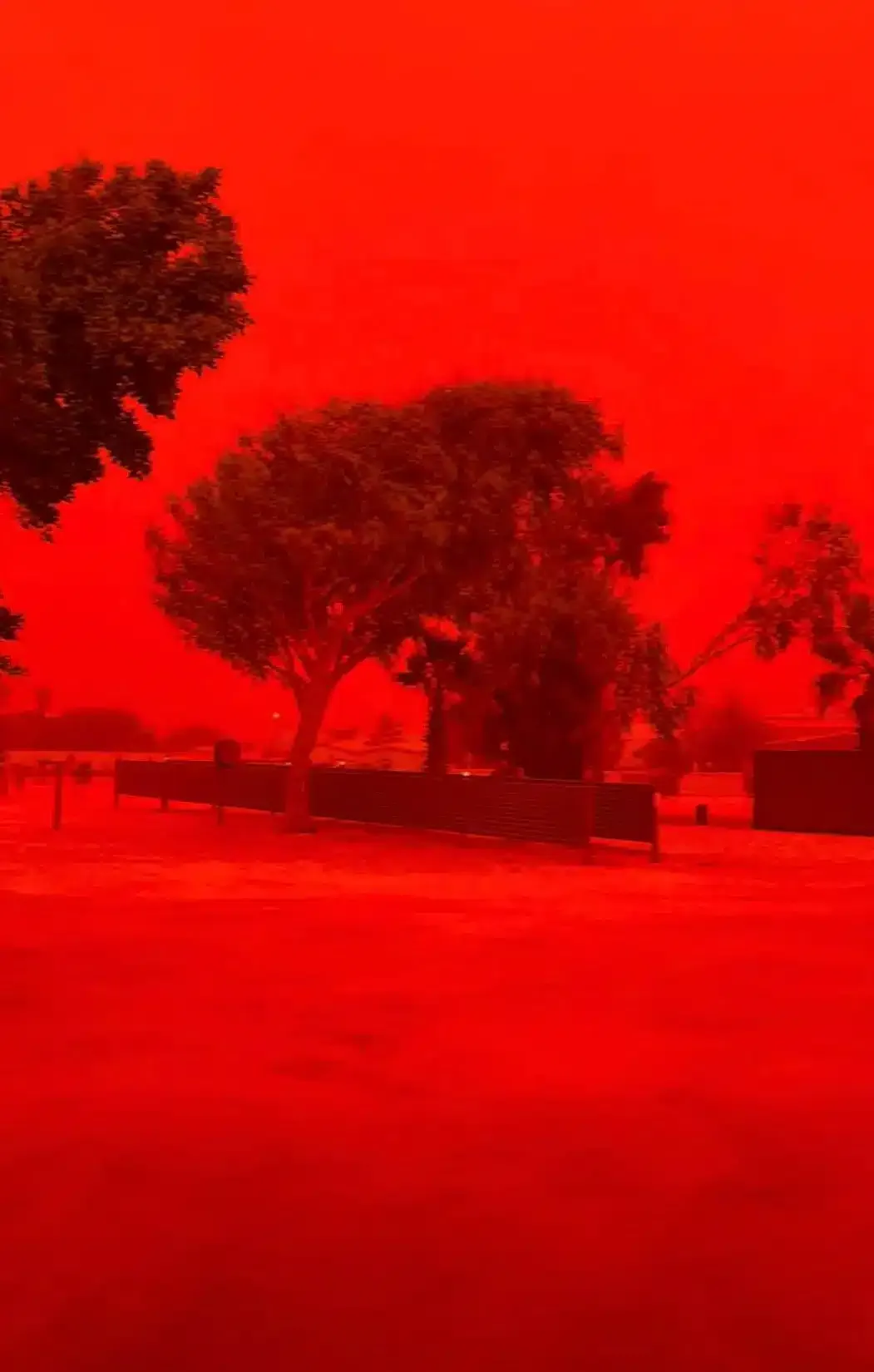 Céu fica vermelho-sangue em alerta ominoso para a Austrália