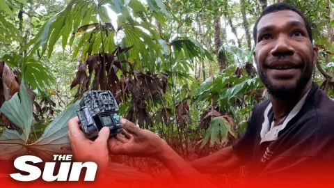 Cientistas capturam imagens raras de animal não visto há 140