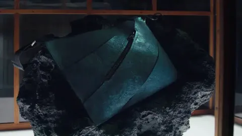 Cientistas criaram a primeira bolsa de couro de T-Rex da his