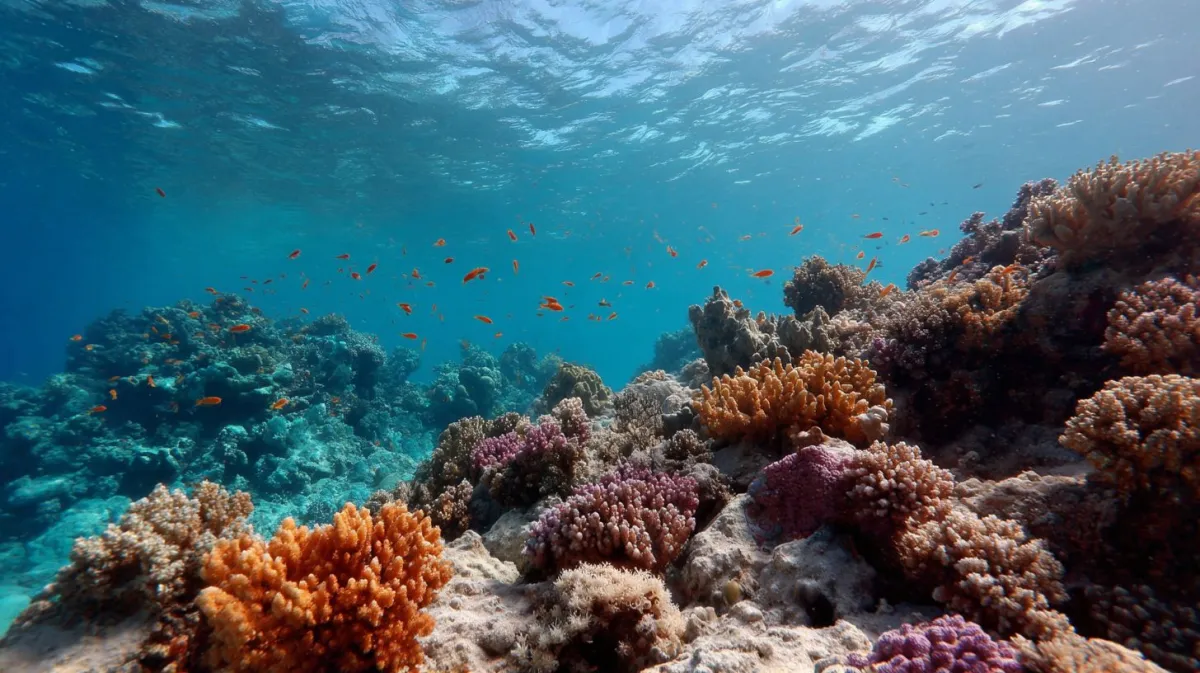 Cientistas fazem alerta severo após relatório revelar que es