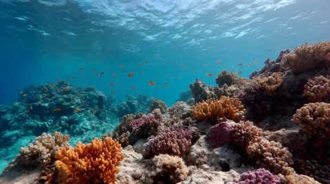 Cientistas fazem alerta severo após relatório revelar que es