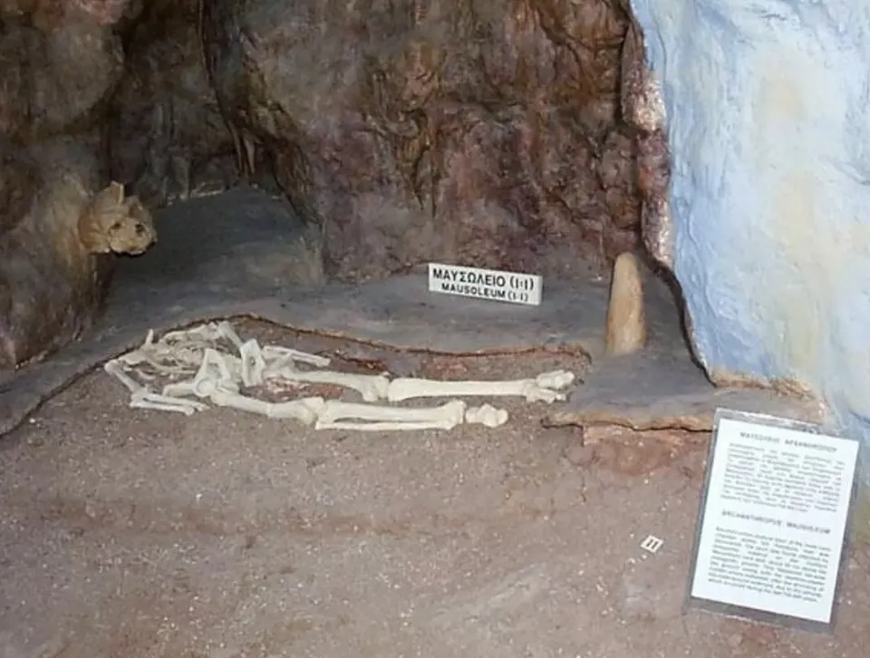 Cientistas ficam chocados com crânio encontrado em parede de
