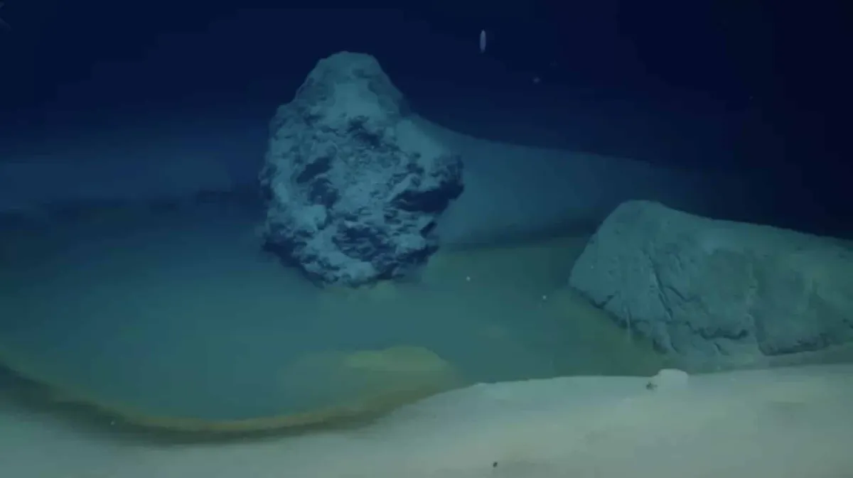 Cientistas fizeram uma descoberta terrível e desoladora ao c
