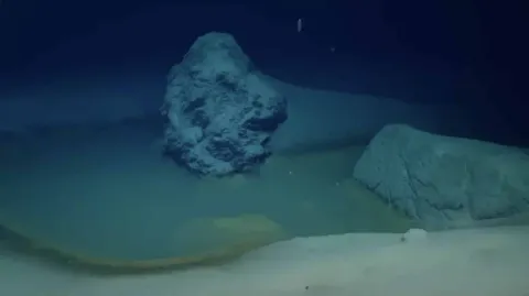 Cientistas fizeram uma descoberta terrível e desoladora ao c