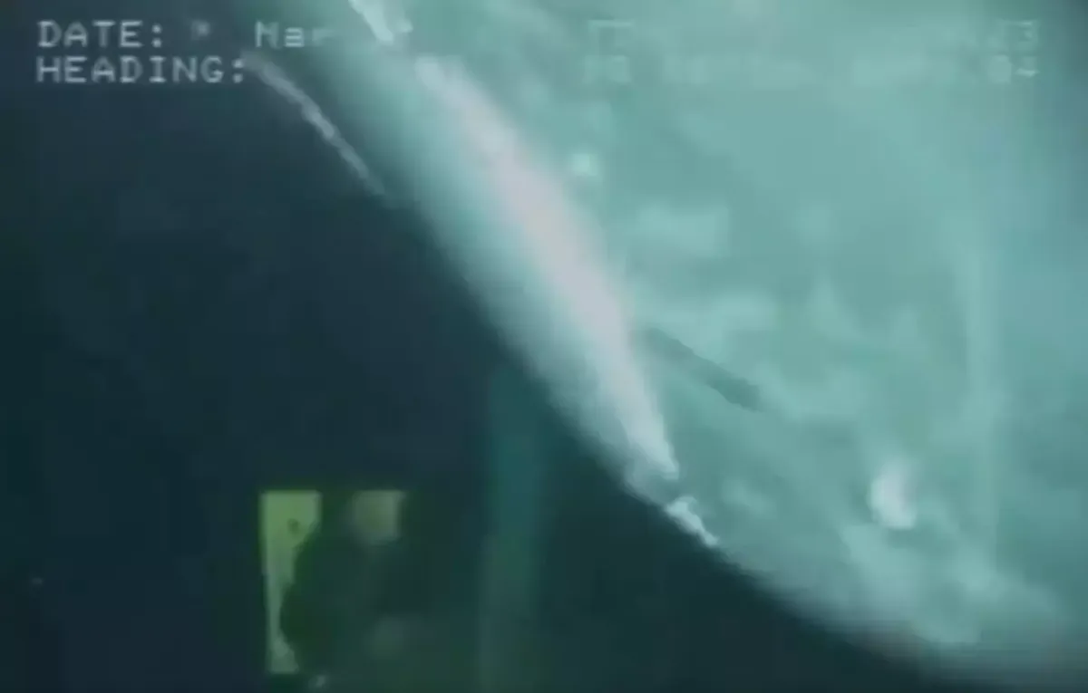 Cientistas recebem visita inesperada nas profundezas do mar