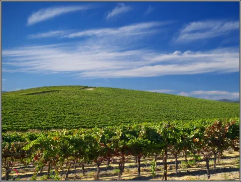 Como está a colina do papel de parede do Windows XP 27 anos 