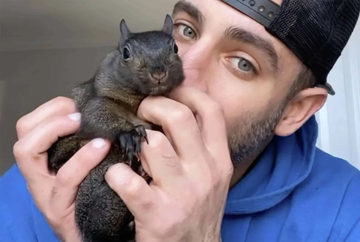 Donos do famoso esquilo Peanut se pronunciam após ele ser ap
