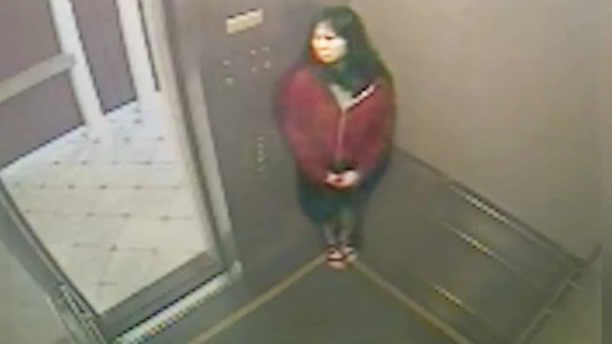 Elisa Lam: mistério no Cecil Hotel
