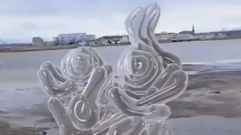 Esquizofrênico diagnosticado reage à precisão de vídeo viral