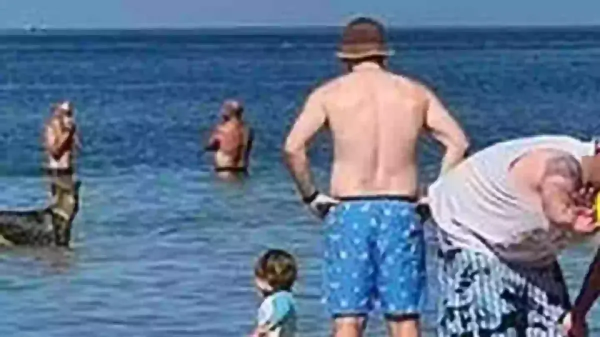 Família fica chocada ao perceber detalhe assustador no fundo