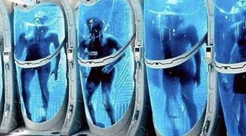 Homem congelado na Austrália: a busca pela vida eterna