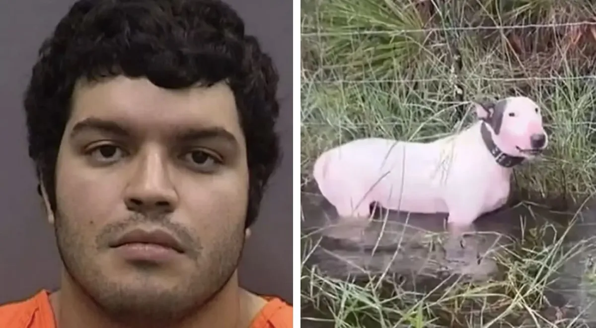 Homem cujo cão foi encontrado amarrado a uma cerca durante o