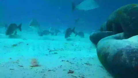 Homem deixa pessoas “aterrorizadas” ao deixar cair GoPro sob