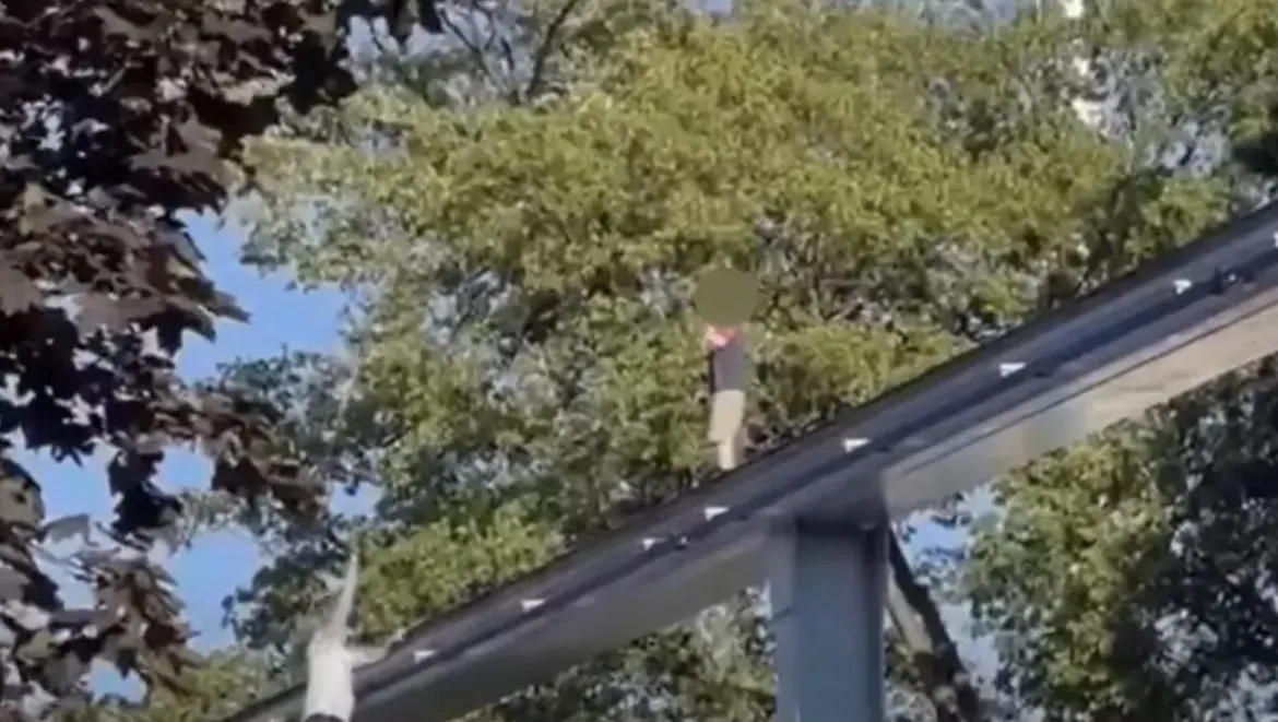 Homem é chamado de herói após salvar menino desaparecido pre