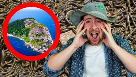 Homem invadiu ilha brasileira onde ninguém tem permissão par