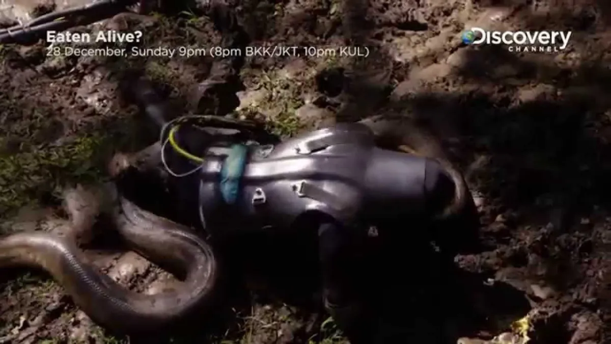 Homem permitiu que cobra o engolisse vivo e gravou tudo ante