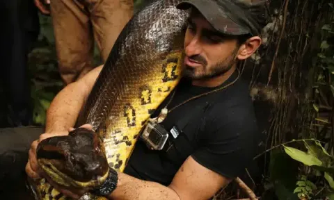 Homem que tentou ser engolido vivo pela maior cobra do mundo