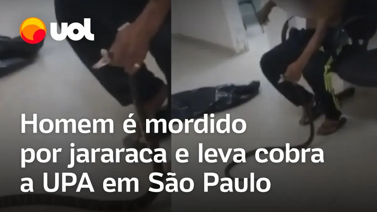 Homem vai com jararaca viva para o hospital após ser mordido