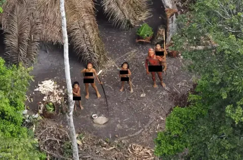 Imagens de drone capturam registros incrivelmente raros de p