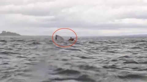 Jovem descreve momento em que foi ‘engolido por uma baleia’ 