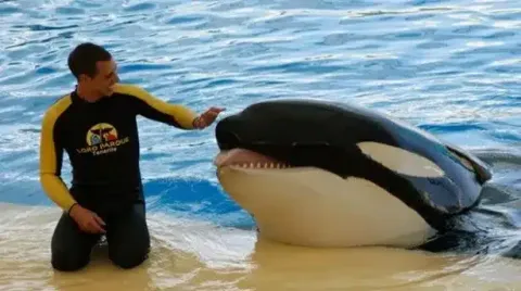 Momentos finais horríveis do treinador antes de orca matá-lo