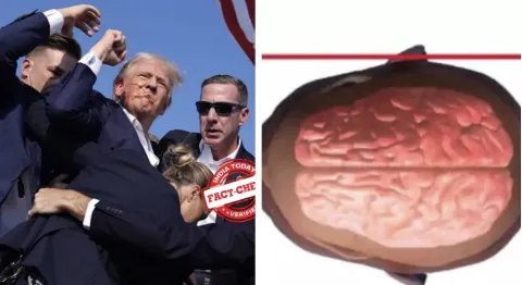 Movimento que ‘salvou Trump’ revelado em câmera lenta