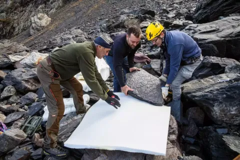 Mulher descobre acidentalmente mundo perdido de 280 milhões 