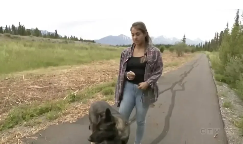 Mulher explica como um acessório de cabelo de $ 3 salvou sua