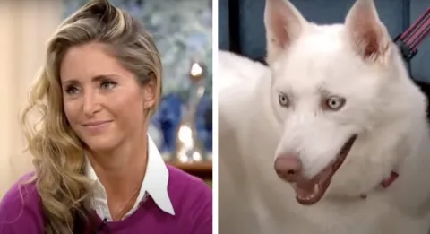 Mulher que insistia que seu cão era vegetariano se deu mal a