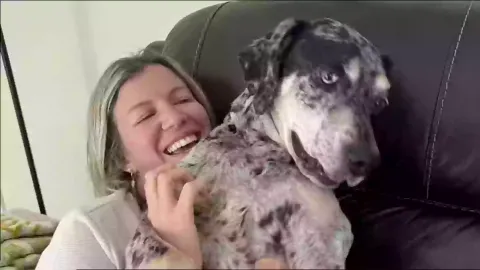 Mulher revela ferimentos horríveis após seu cachorro amado d
