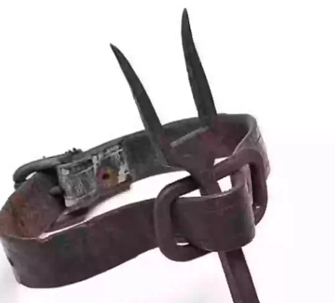 O método de tortura horripilante do ‘garfo herege’ – uma das