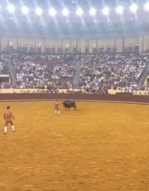 O momento assustador em que toureiro morre após ser levantado e arremessado contra a parede por um touro diante da multidão