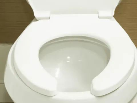 O motivo nojento pelo qual alguns banheiros públicos têm ass
