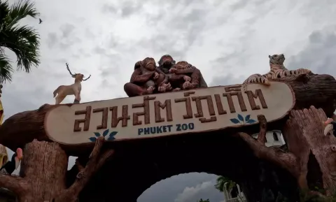 O que aconteceu com os animais deixados em um zoológico aban
