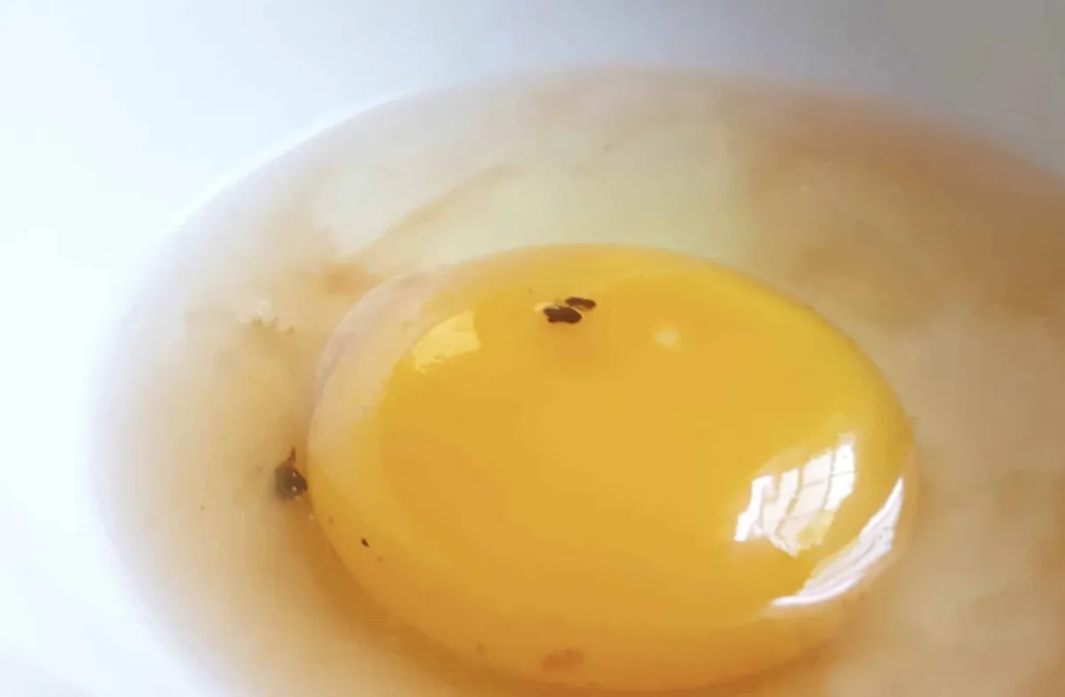 O que significa aquela mancha vermelha escura que às vezes t