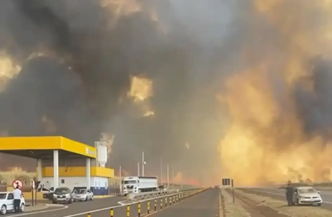 Onda de incêndios causa caos na região de Ribeirão Preto